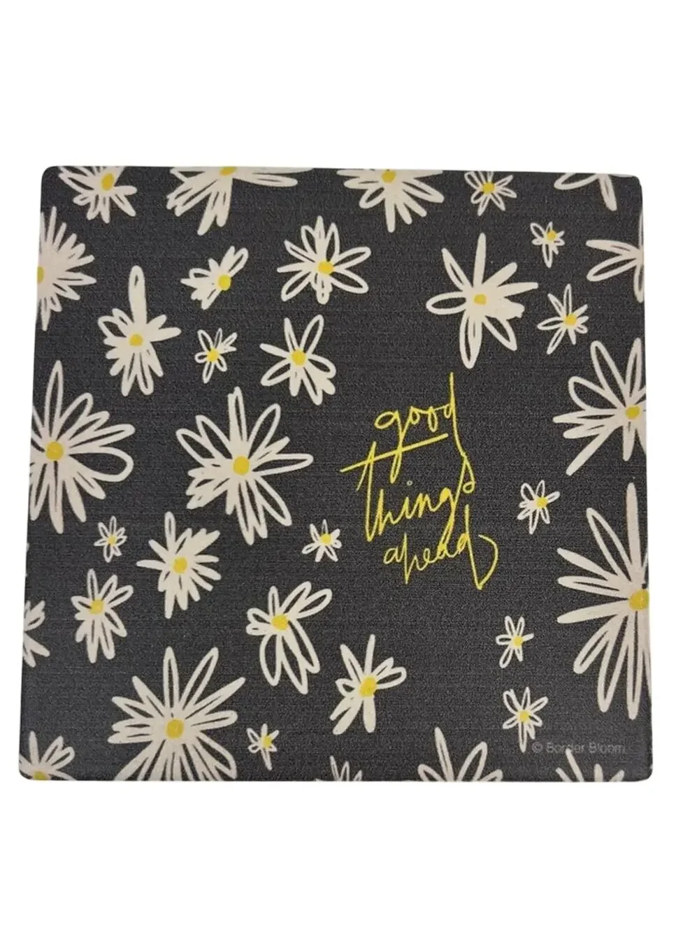 Thirstystone Good Things Ahead Cork Bottom Coaster - NWT